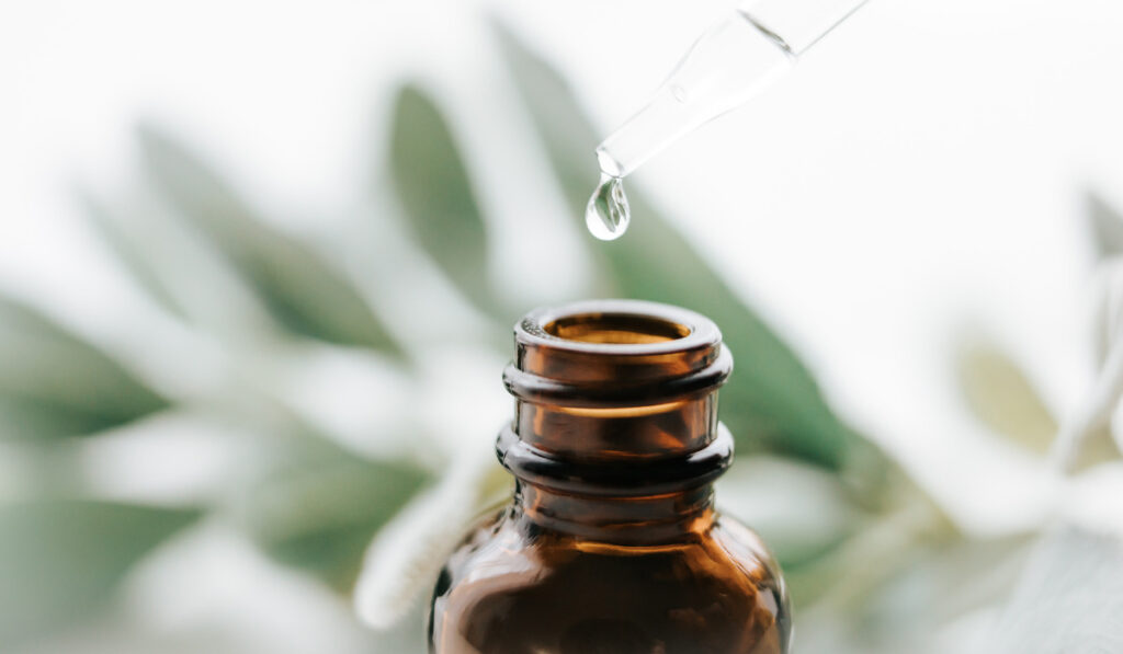 Discovering the Magic of Essential Oil